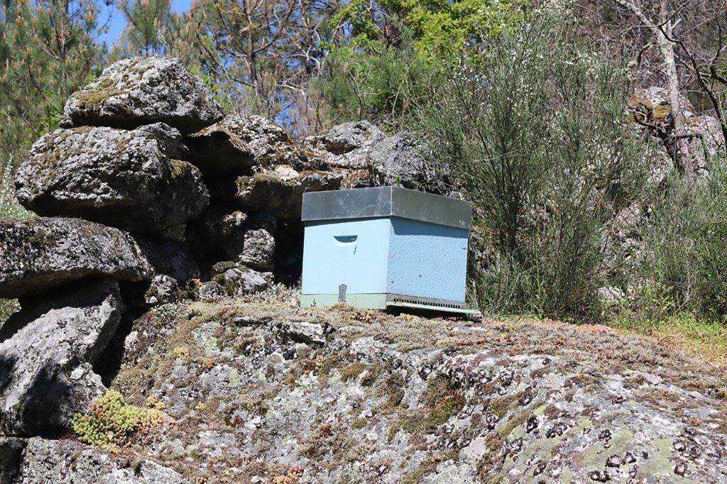 Villas da Quintã Cabeceiras de Basto Exterior foto